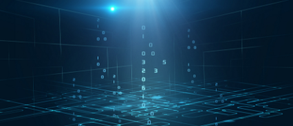 企业核心数据防护（财务数据、人资数据）